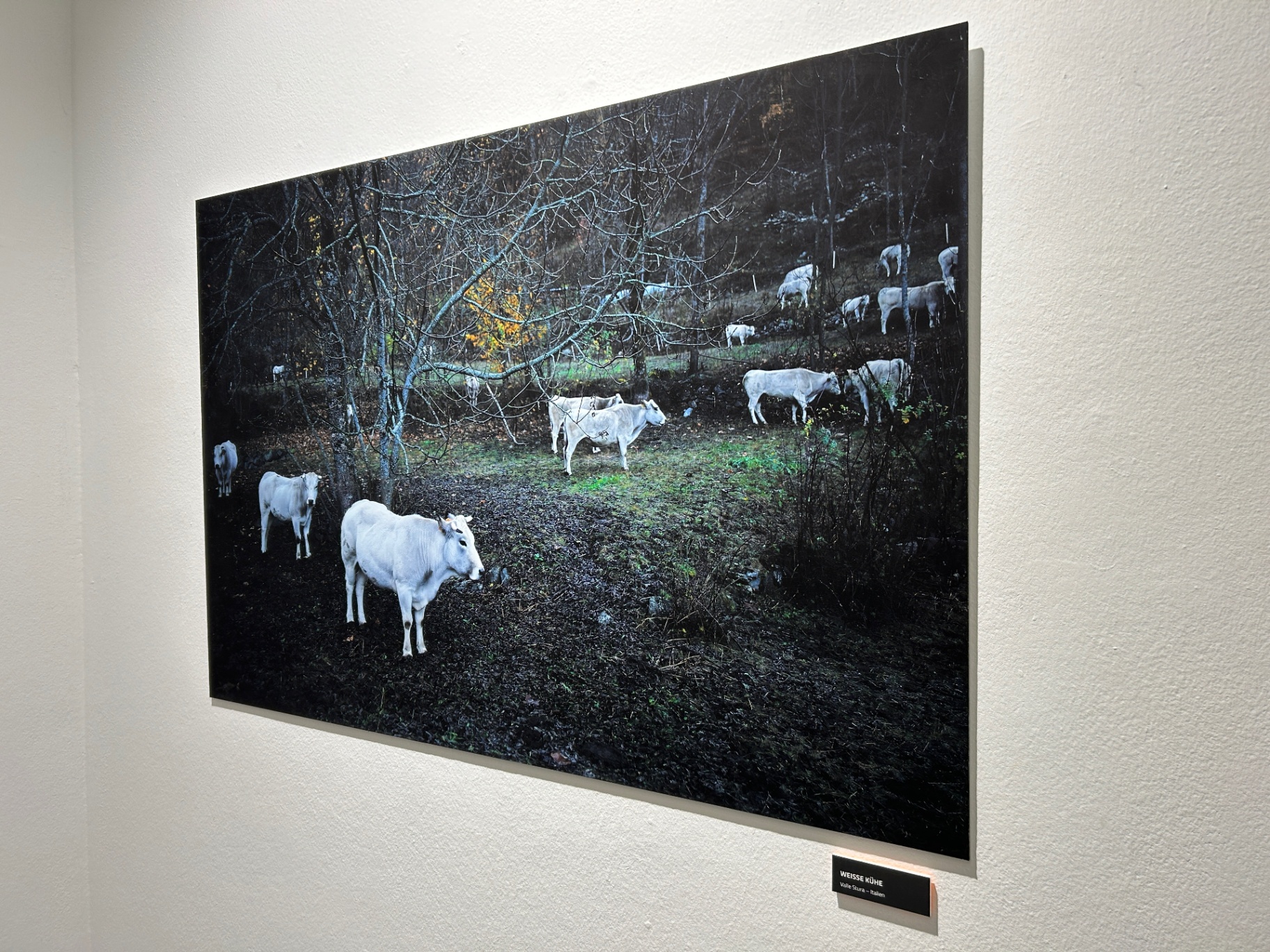Augenwege — Ausstellung Stefan Rosenboom — Bild 3