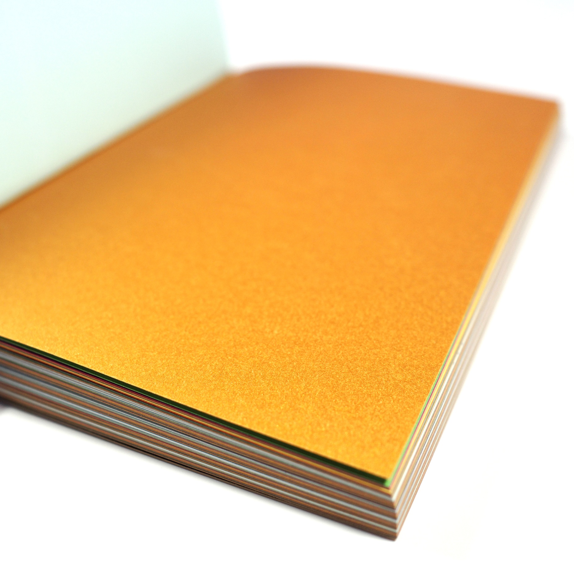 Save-The-Oceans Notebook — Bild 8